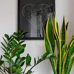 Appartement - Centro Storico Milaan